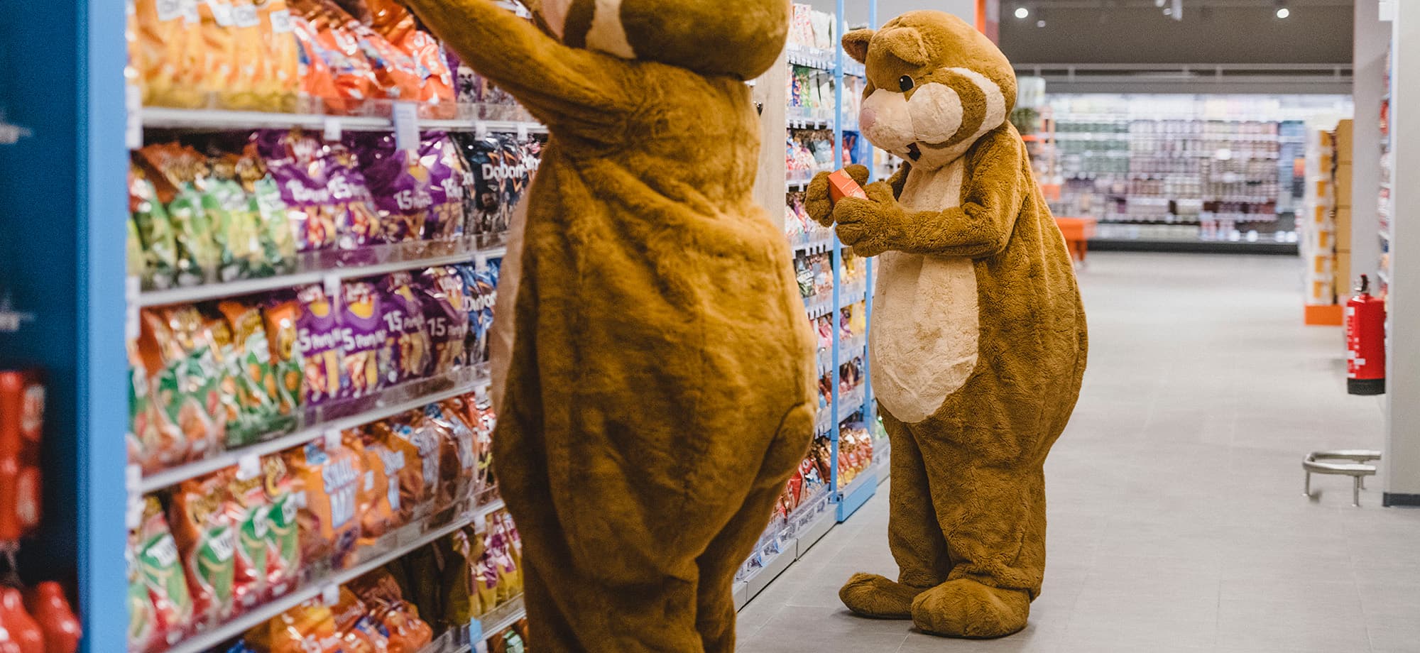 Albert Heyn hamsters