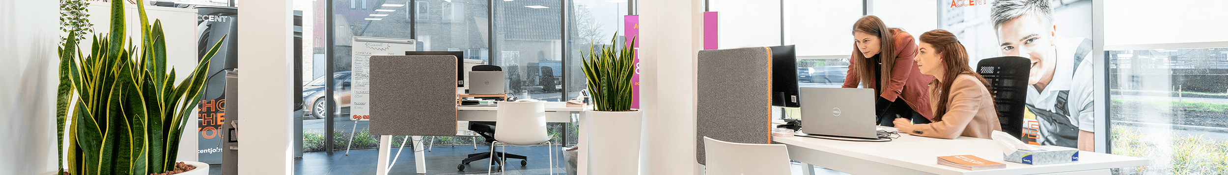 Voor bedrijven Accent